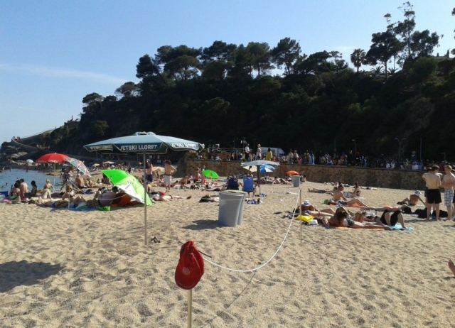 The beach on the what we work